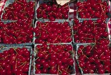 cherries.jpg